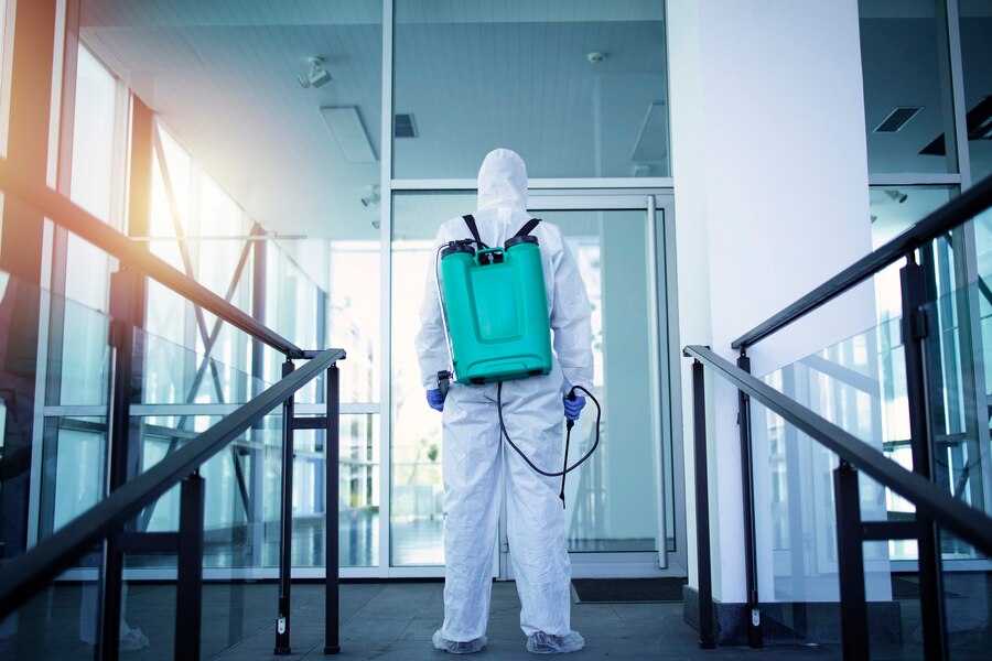 Top 10 Pest Control Companies in Dubai UAE 2024 – Updated Rankings