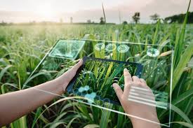 Agriculture Companies in Dubai UAE List 2024 Updated