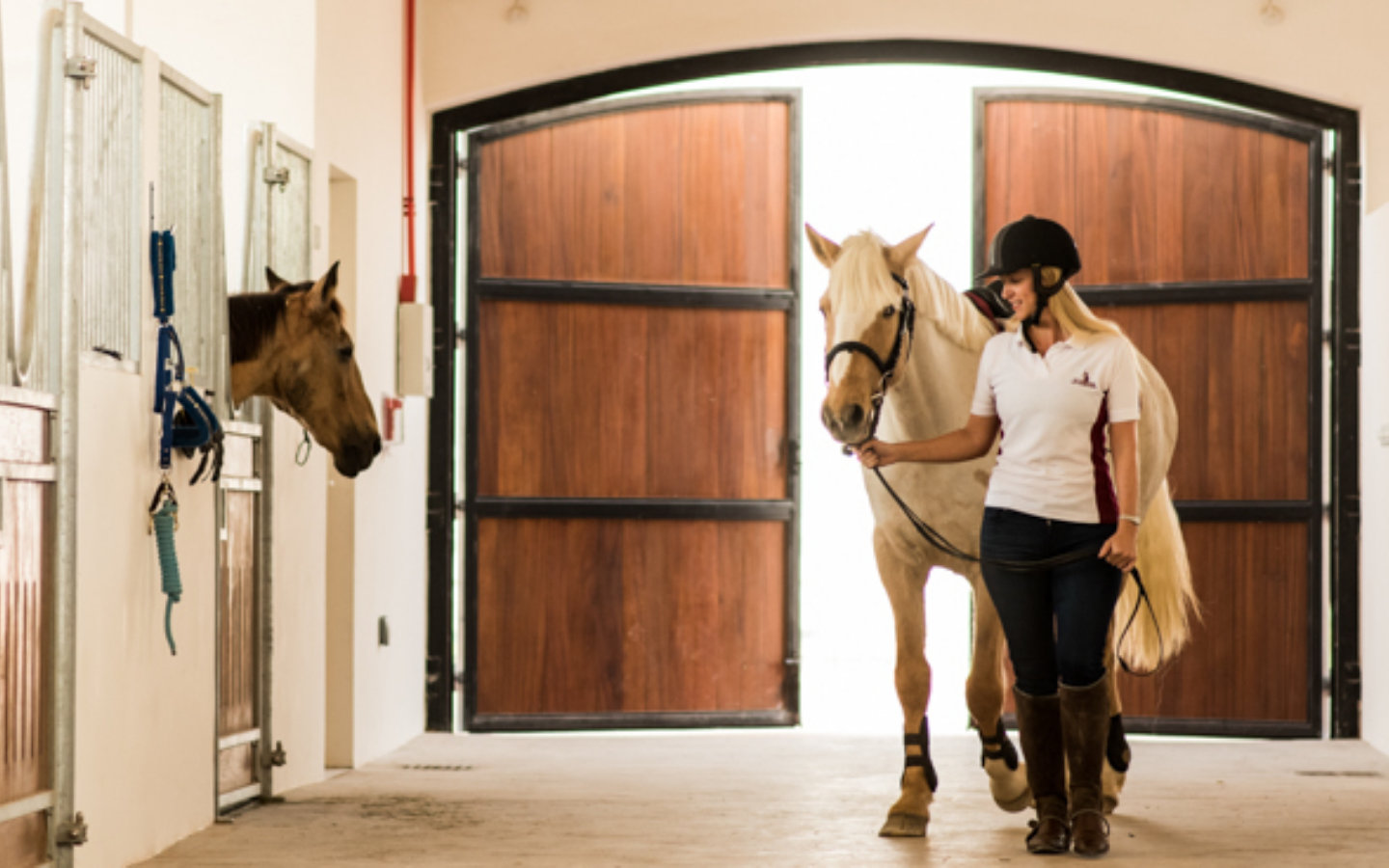 Horse Riding Clubs in Dubai UAE Updated 2024
