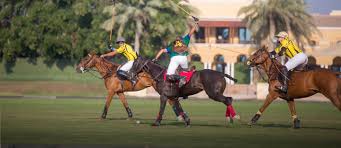 Equestrian Clubs in Dubai UAE 2024 Updated